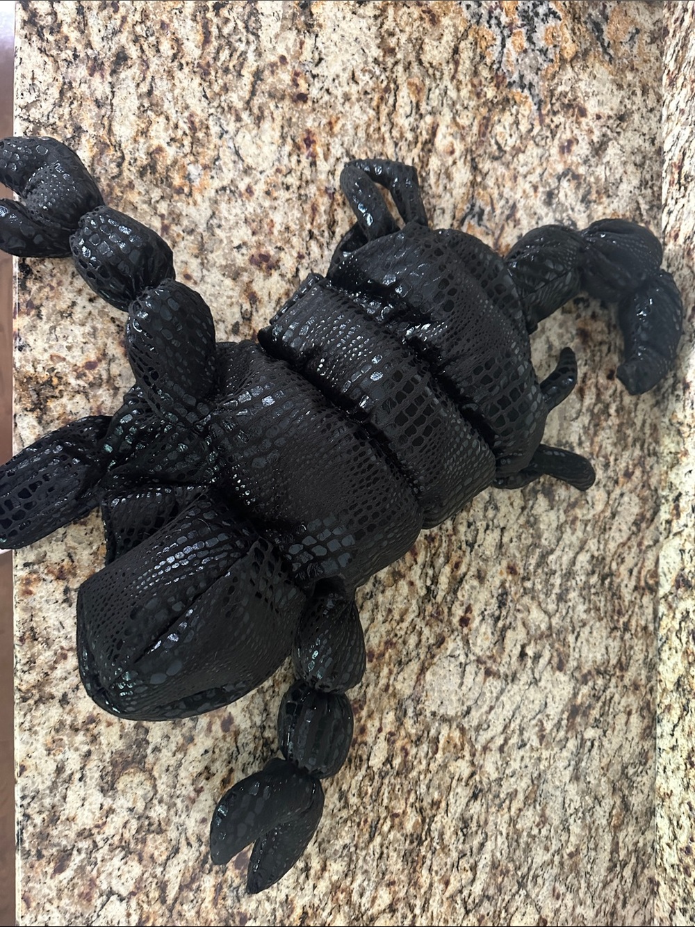 Dog Costume- Black Scorpion